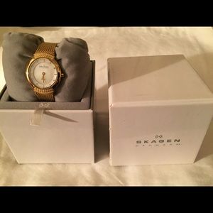 Skagen Watch